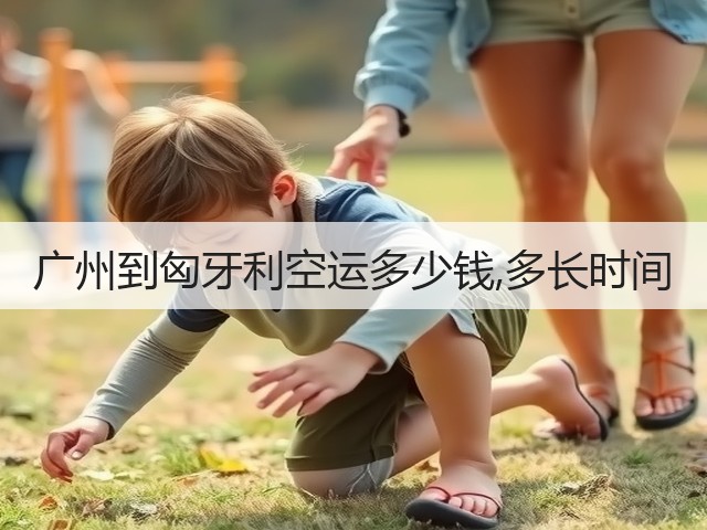 广州到匈牙利空运多少钱,多长时间(图3) 广州到匈牙利空运多少钱,多长时间(图3)
