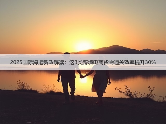 2025国际海运新政解读:这3类跨境电商货物通关效率提升30%(图3) 2025国际海运新政解读:这3类跨境电商货物通关效率提升30%(图3)