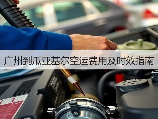 广州到瓜亚基尔空运费用及时效指南(图2) 广州到瓜亚基尔空运费用及时效指南(图2)