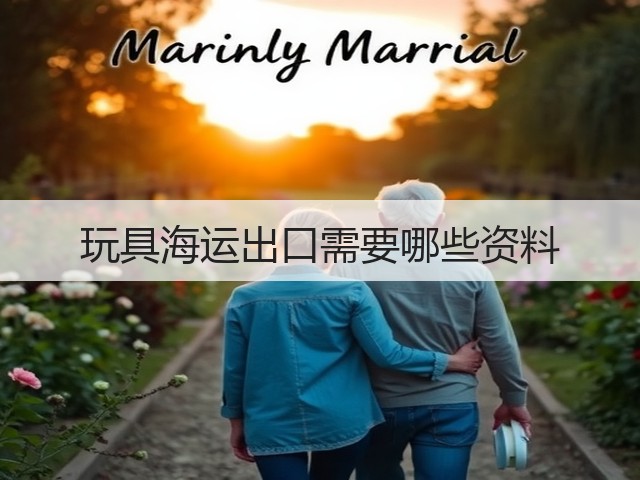 玩具海运出口需要哪些资料(图3) 玩具海运出口需要哪些资料(图3)
