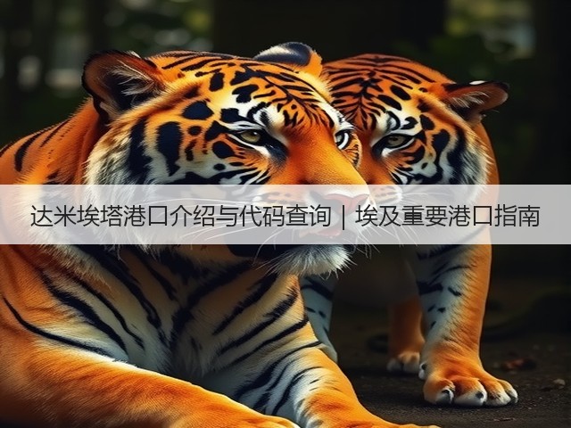 达米埃塔港口介绍与代码查询|埃及重要港口指南(图2) 达米埃塔港口介绍与代码查询|埃及重要港口指南(图2)