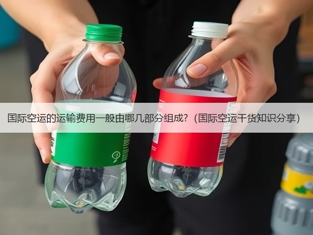 国际空运的运输费用一般由哪几部分组成?(国际空运干货知识分享)(图2) 国际空运的运输费用一般由哪几部分组成?(国际空运干货知识分享)(图2)