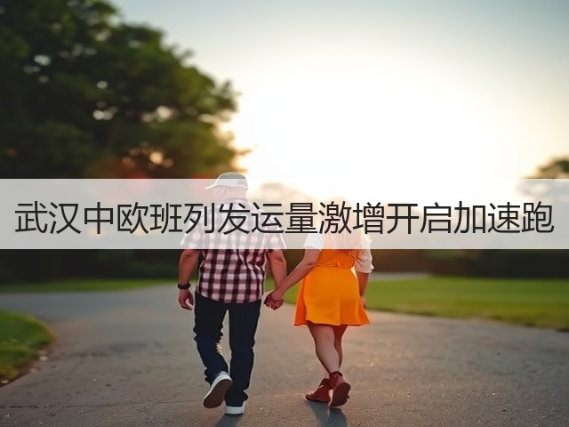 武汉中欧班列发运量激增开启加速跑(图2) 武汉中欧班列发运量激增开启加速跑(图2)
