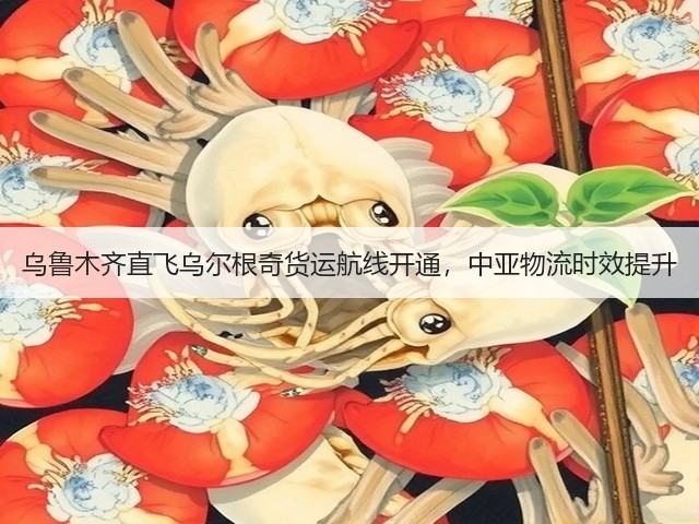 乌鲁木齐直飞乌尔根奇货运航线开通,中亚物流时效提升(图3) 乌鲁木齐直飞乌尔根奇货运航线开通,中亚物流时效提升(图3)