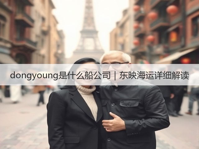 dongyoung是什么船公司|东映海运详细解读(图1) dongyoung是什么船公司|东映海运详细解读(图1)