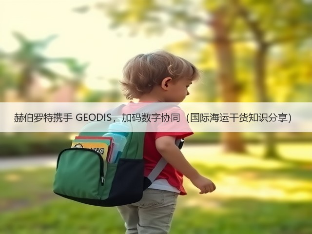 赫伯罗特携手 GEODIS,加码数字协同(国际海运干货知识分享)(图3) 赫伯罗特携手 GEODIS,加码数字协同(国际海运干货知识分享)(图3)