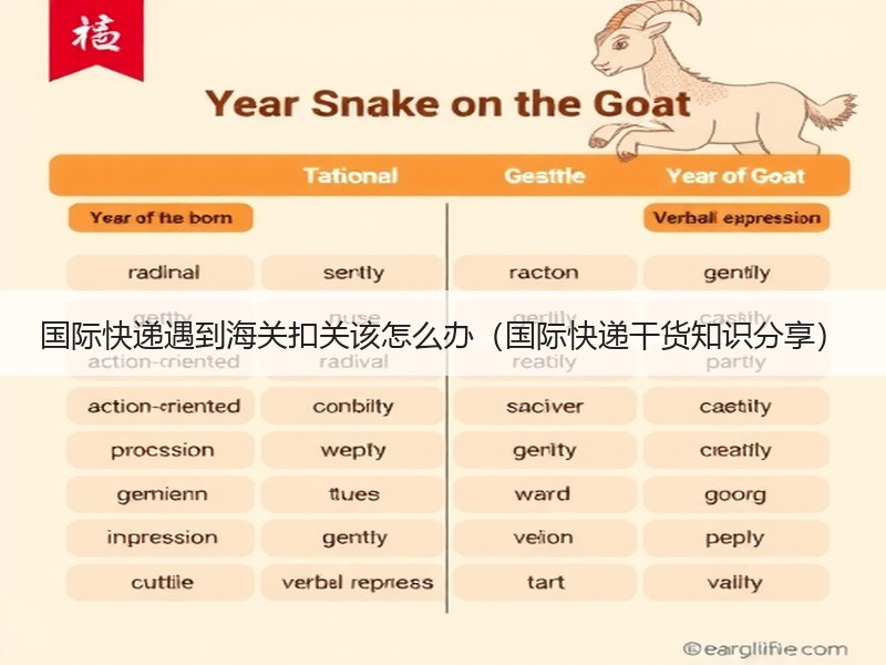国际快递遇到海关扣关该怎么办（国际快递干货知识分享）