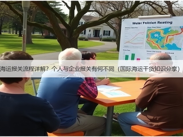 海运报关流程详解？个人与企业报关有何不同（国际海运干货知识分享）(图3)