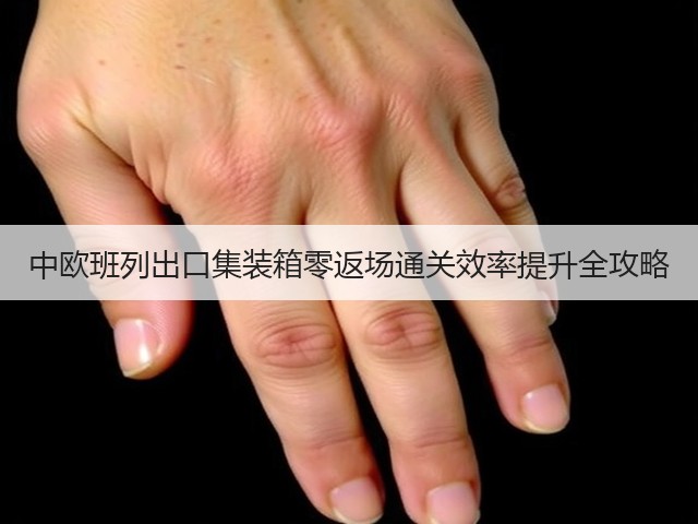 中欧班列出口集装箱零返场通关效率提升全攻略(图1) 中欧班列出口集装箱零返场通关效率提升全攻略(图1)