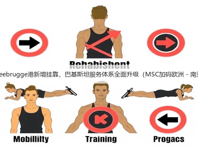 国际海运Zeebrugge港新增挂靠，巴基斯坦服务体系全面升级（MSC加码欧洲 - 南亚航线：）(图3)