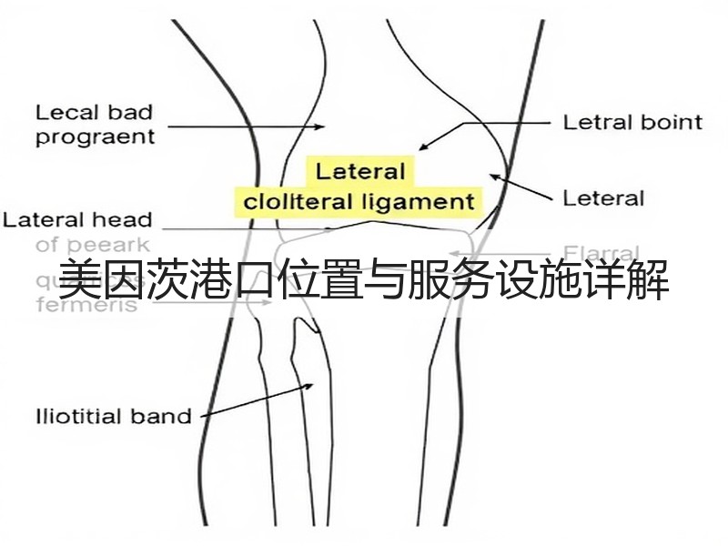 美因茨港口位置与服务设施详解 美因茨港口位置与服务设施详解