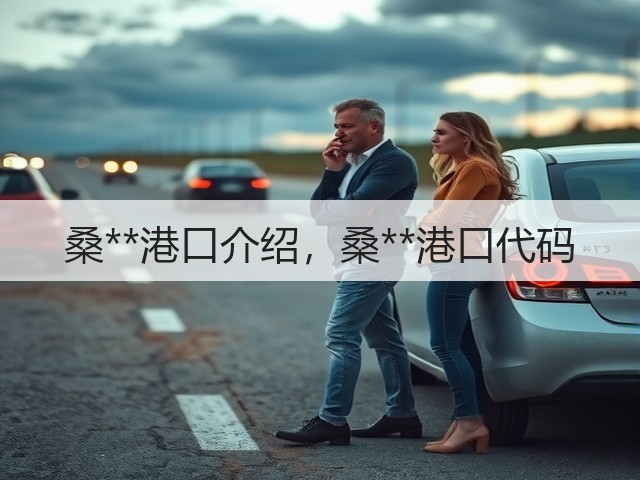 桑**港口介绍,桑**港口代码(图1) 桑**港口介绍,桑**港口代码(图1)