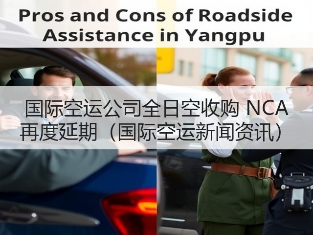 国际空运公司全日空收购 NCA 再度延期（国际空运新闻资讯）(图3)