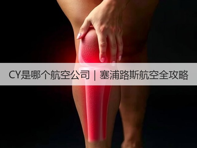 CY是哪个航空公司｜塞浦路斯航空全攻略(图2)