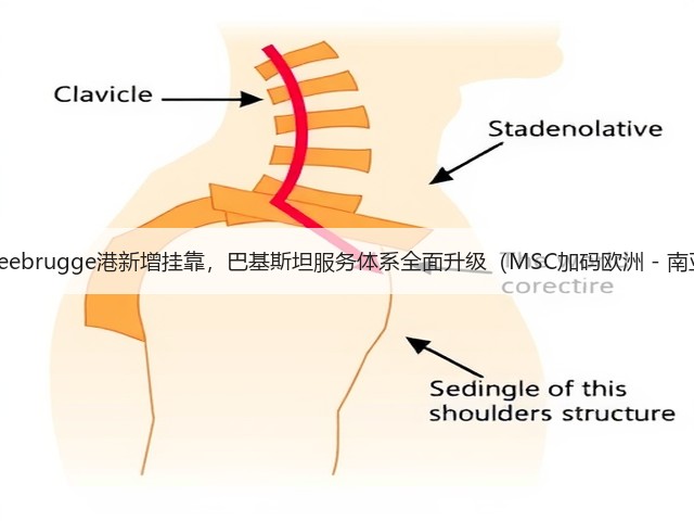 国际海运Zeebrugge港新增挂靠,巴基斯坦服务体系全面升级(MSC加码欧洲 - 南亚航线:)(图2) 国际海运Zeebrugge港新增挂靠,巴基斯坦服务体系全面升级(MSC加码欧洲 - 南亚航线:)(图2)