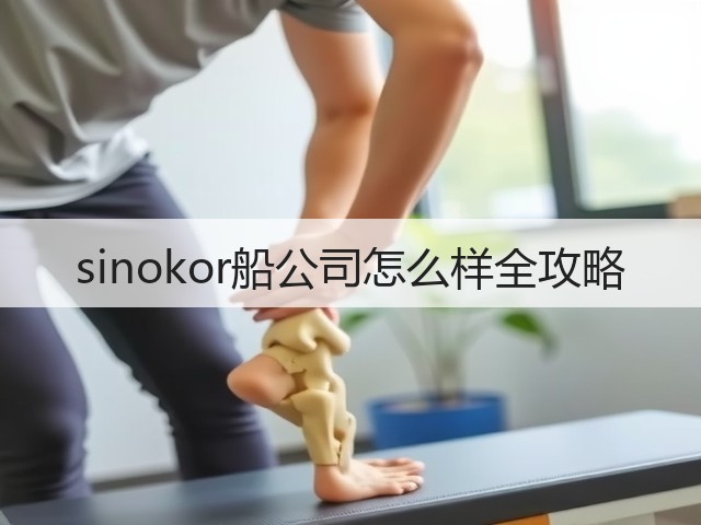 sinokor船公司怎么样全攻略(图1) sinokor船公司怎么样全攻略(图1)