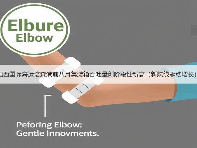 巴西国际海运培森港前八月集装箱吞吐量创阶段性新高(新航线驱动增长)(图1) 巴西国际海运培森港前八月集装箱吞吐量创阶段性新高(新航线驱动增长)(图1)