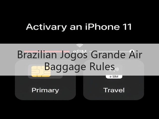 Brazilian Jogos Grande Air Baggage Rules(图3)