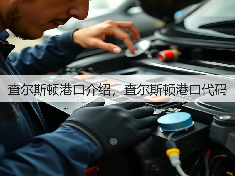 查尔斯顿港口介绍，查尔斯顿港口代码