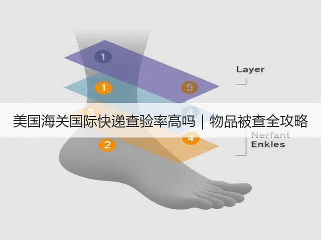 美国海关国际快递查验率高吗|物品被查全攻略(图1) 美国海关国际快递查验率高吗|物品被查全攻略(图1)