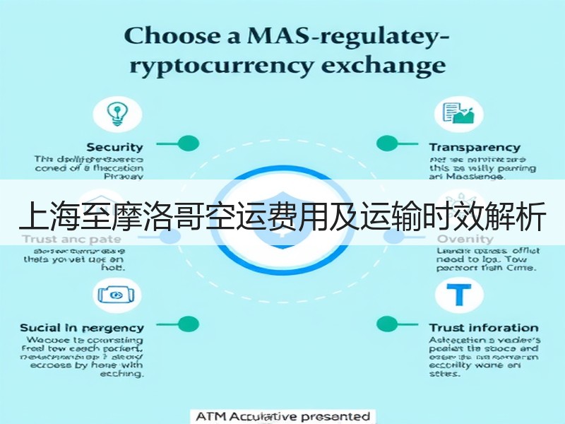 上海至摩洛哥空运费用及运输时效解析 上海至摩洛哥空运费用及运输时效解析