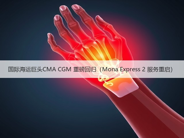 国际海运巨头CMA CGM 重磅回归（Mona Express 2 服务重启）(图3)