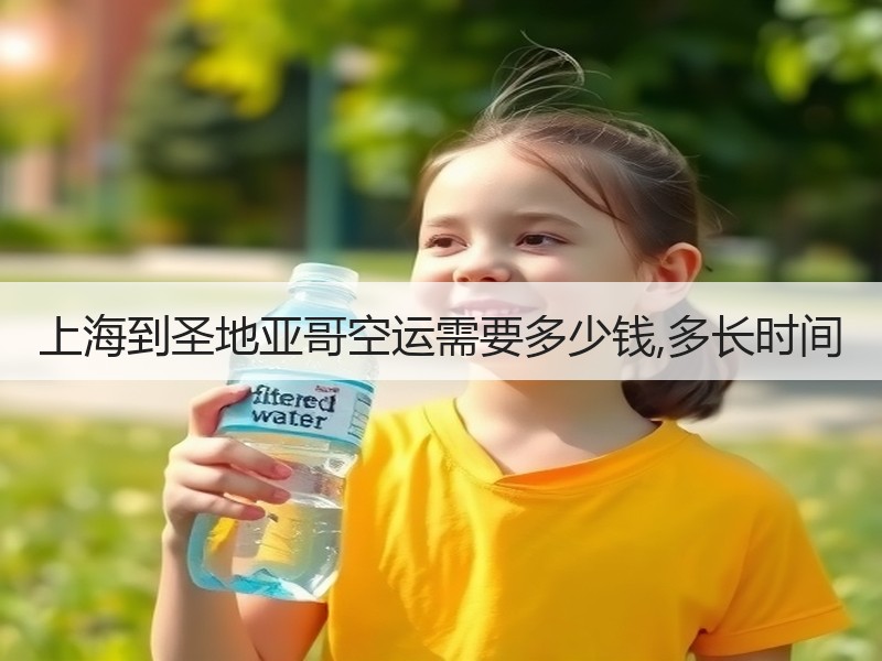 上海到圣地亚哥空运需要多少钱,多长时间