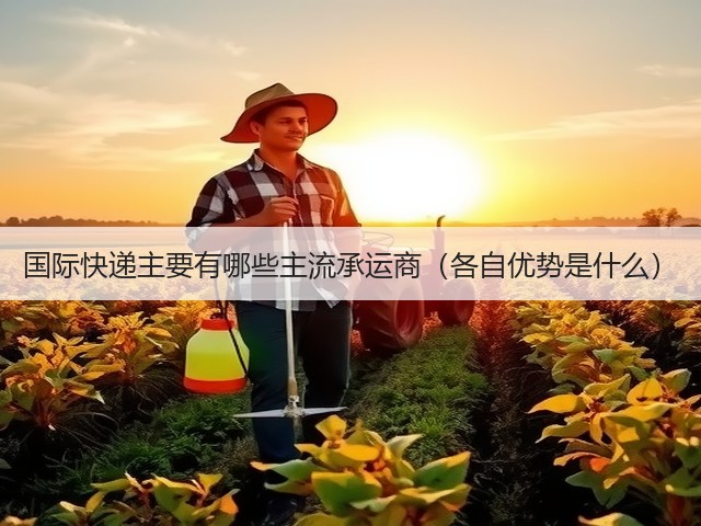 国际快递主要有哪些主流承运商(各自优势是什么)(图3) 国际快递主要有哪些主流承运商(各自优势是什么)(图3)