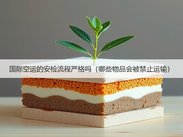 国际空运的安检流程严格吗(哪些物品会被禁止运输)(图3) 国际空运的安检流程严格吗(哪些物品会被禁止运输)(图3)