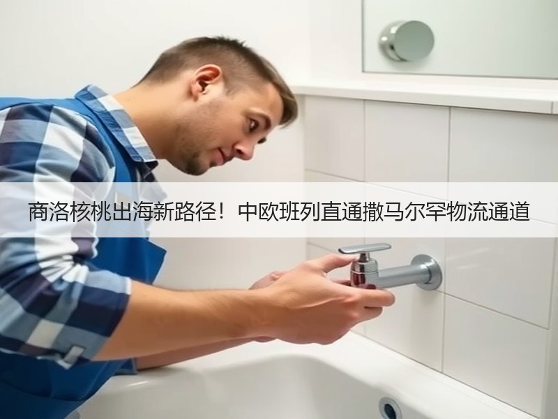 商洛核桃出海新路径!中欧班列直通撒马尔罕物流通道 商洛核桃出海新路径!中欧班列直通撒马尔罕物流通道