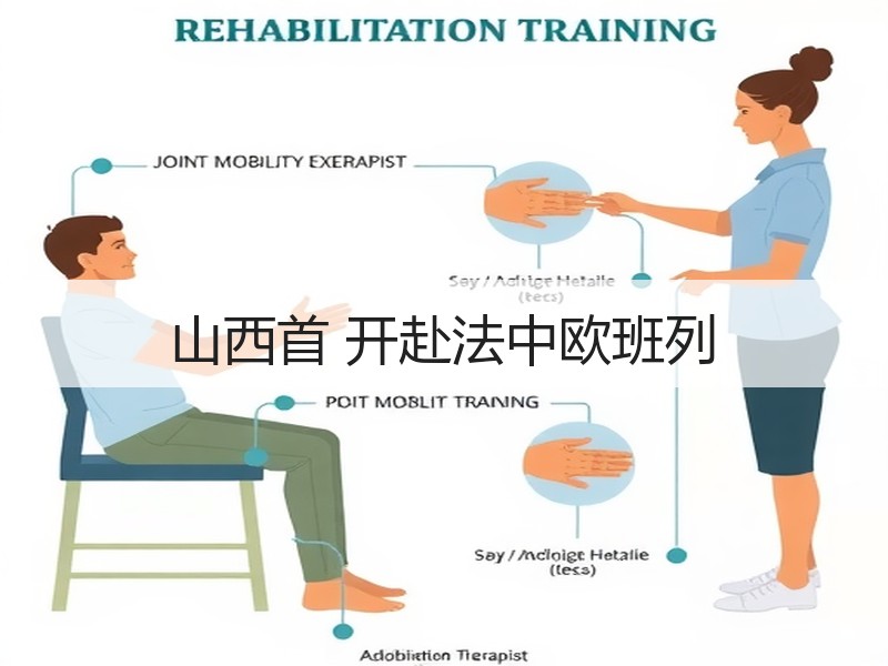 山西首 开赴法中欧班列