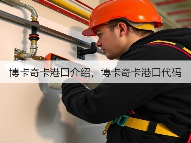 博卡奇卡港口介绍,博卡奇卡港口代码(图3) 博卡奇卡港口介绍,博卡奇卡港口代码(图3)