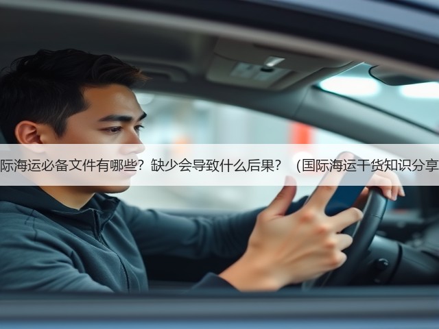国际海运必备文件有哪些?缺少会导致什么后果?(国际海运干货知识分享)(图3) 国际海运必备文件有哪些?缺少会导致什么后果?(国际海运干货知识分享)(图3)