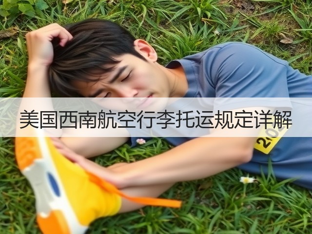 美国西南航空行李托运规定详解(图2) 美国西南航空行李托运规定详解(图2)