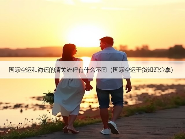 国际空运和海运的清关流程有什么不同(国际空运干货知识分享)(图3) 国际空运和海运的清关流程有什么不同(国际空运干货知识分享)(图3)