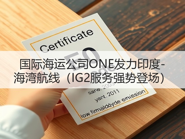国际海运公司ONE发力印度-海湾航线(IG2服务强势登场)(图2) 国际海运公司ONE发力印度-海湾航线(IG2服务强势登场)(图2)