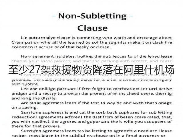 至少27架救援物资降落在阿里什机场(图3) 至少27架救援物资降落在阿里什机场(图3)