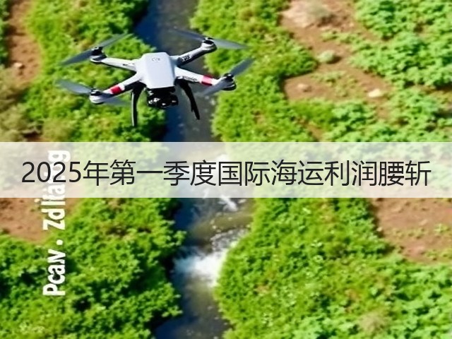 2025年第一季度国际海运利润腰斩(图3)