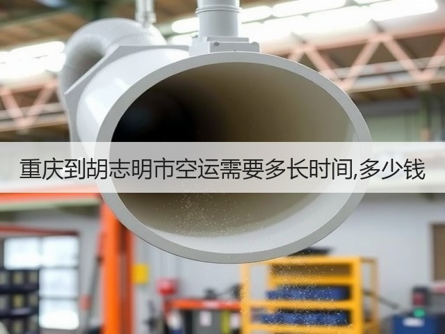 重庆到胡志明市空运需要多长时间,多少钱(图3) 重庆到胡志明市空运需要多长时间,多少钱(图3)