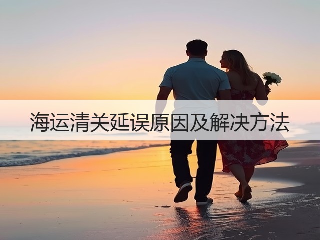 海运清关延误原因及解决方法(图3) 海运清关延误原因及解决方法(图3)