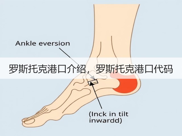 罗斯托克港口介绍,罗斯托克港口代码(图3) 罗斯托克港口介绍,罗斯托克港口代码(图3)
