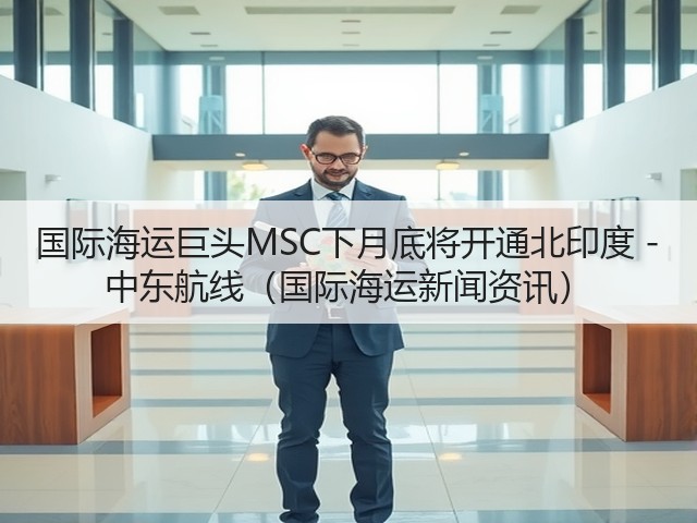 国际海运巨头MSC下月底将开通北印度 - 中东航线（国际海运新闻资讯）(图3)