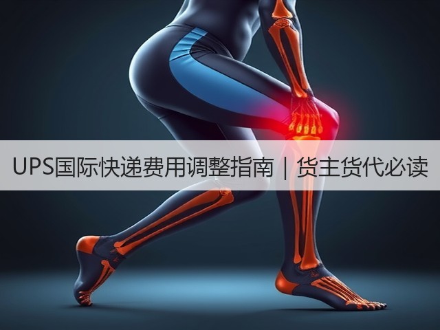 UPS国际快递费用调整指南|货主货代必读(图3) UPS国际快递费用调整指南|货主货代必读(图3)