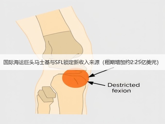 国际海运巨头马士基与SFL锁定新收入来源(租期增加约2.25亿美元)(图3) 国际海运巨头马士基与SFL锁定新收入来源(租期增加约2.25亿美元)(图3)