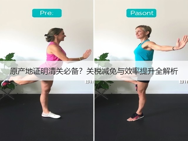 原产地证明清关必备?关税减免与效率提升全解析(图3) 原产地证明清关必备?关税减免与效率提升全解析(图3)