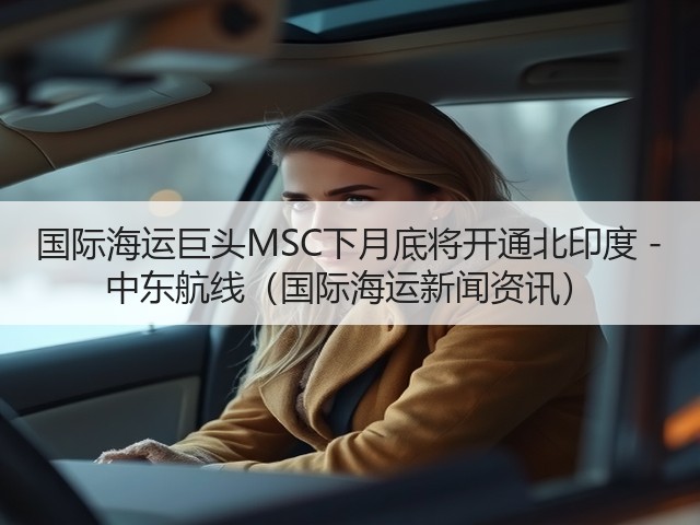 国际海运巨头MSC下月底将开通北印度 - 中东航线(国际海运新闻资讯)(图2) 国际海运巨头MSC下月底将开通北印度 - 中东航线(国际海运新闻资讯)(图2)