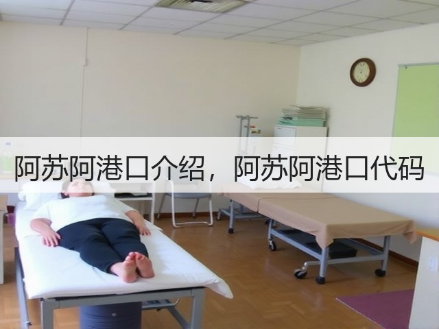 阿苏阿港口介绍,阿苏阿港口代码(图3) 阿苏阿港口介绍,阿苏阿港口代码(图3)