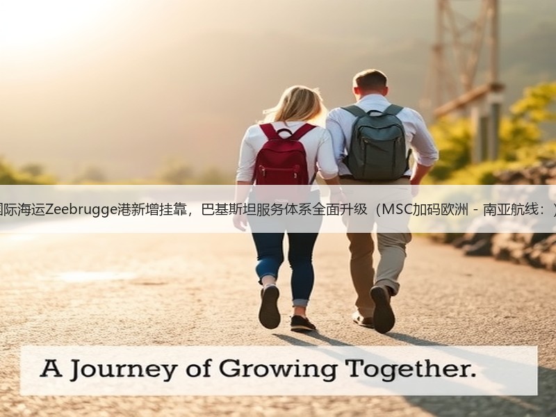 国际海运Zeebrugge港新增挂靠,巴基斯坦服务体系全面升级(MSC加码欧洲 - 南亚航线:) 国际海运Zeebrugge港新增挂靠,巴基斯坦服务体系全面升级(MSC加码欧洲 - 南亚航线:)