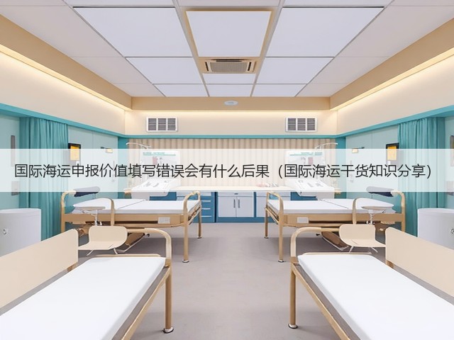 国际海运申报价值填写错误会有什么后果(国际海运干货知识分享)(图2) 国际海运申报价值填写错误会有什么后果(国际海运干货知识分享)(图2)
