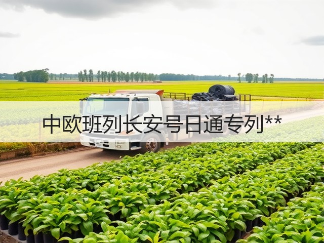 中欧班列长安号日通专列**(图2)